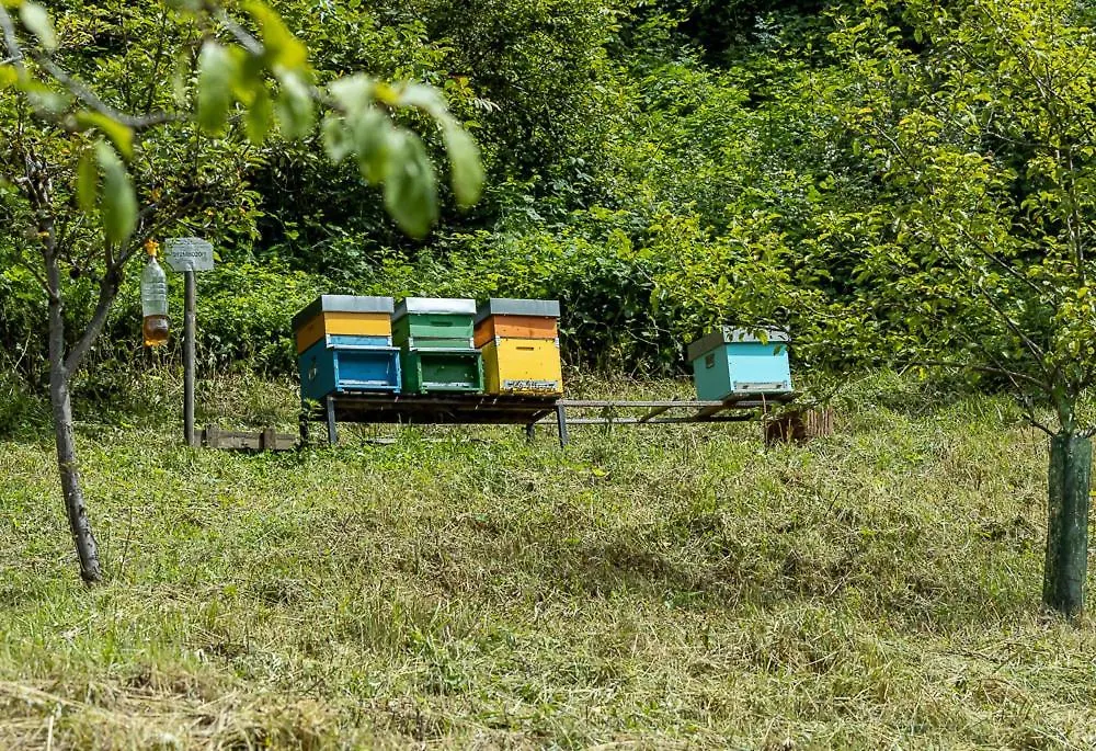 Frühstückspension B&B I Pellegrini Della Casela Bordogna